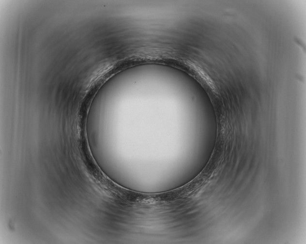 X0000091530635200708170950
