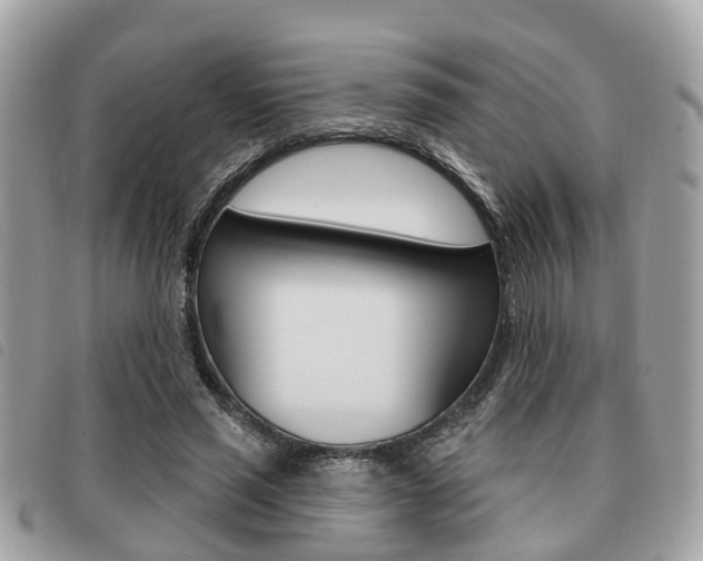 X0000091530637200708170951