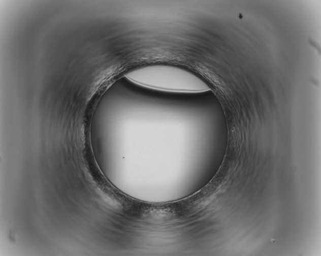 X0000091530638200708170951