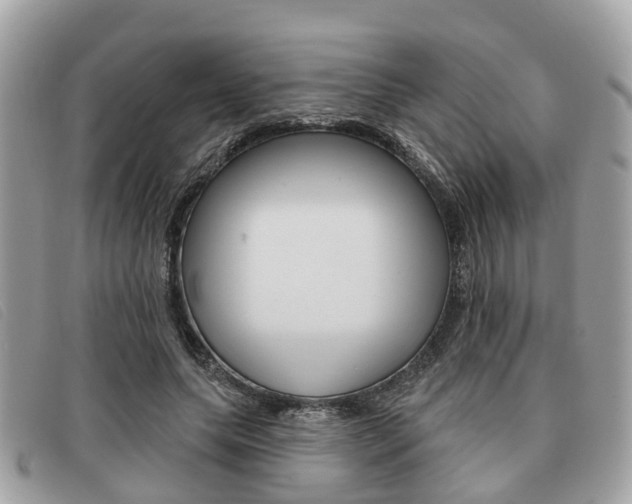 X0000091530639200708170951