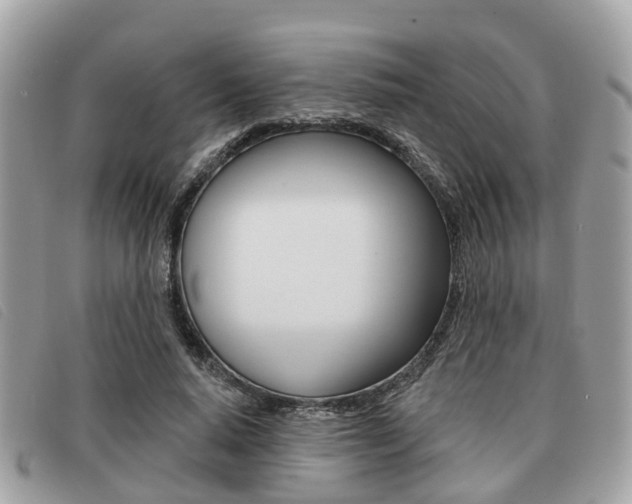 X0000091530640200708170951