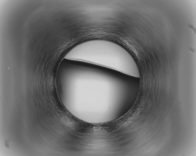 X0000091530641200708170951
