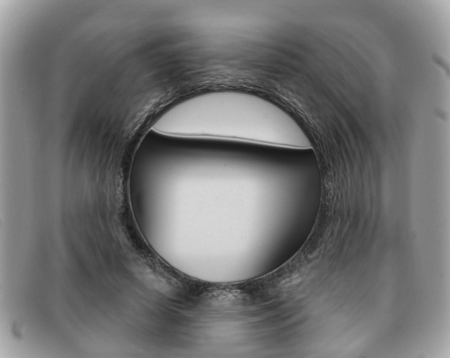 X0000091530642200708170951