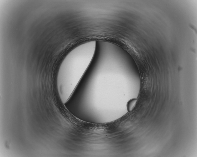 X0000091530643200708170951