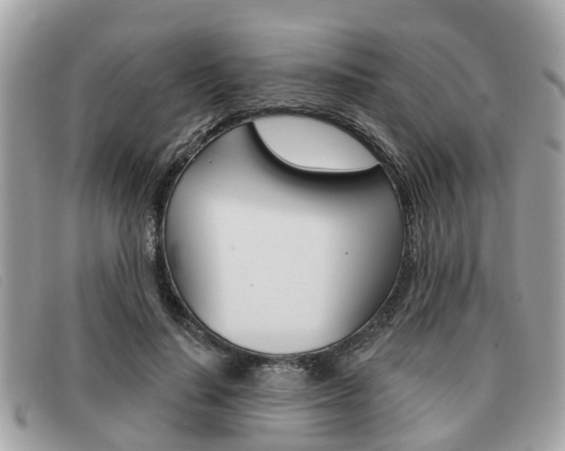 X0000091530644200708170951