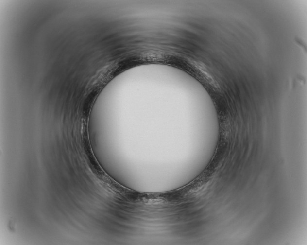 X0000091530645200708170951