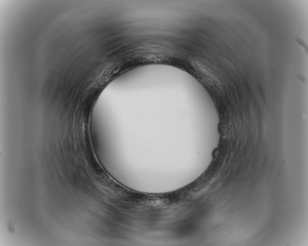 X0000091530646200708170951