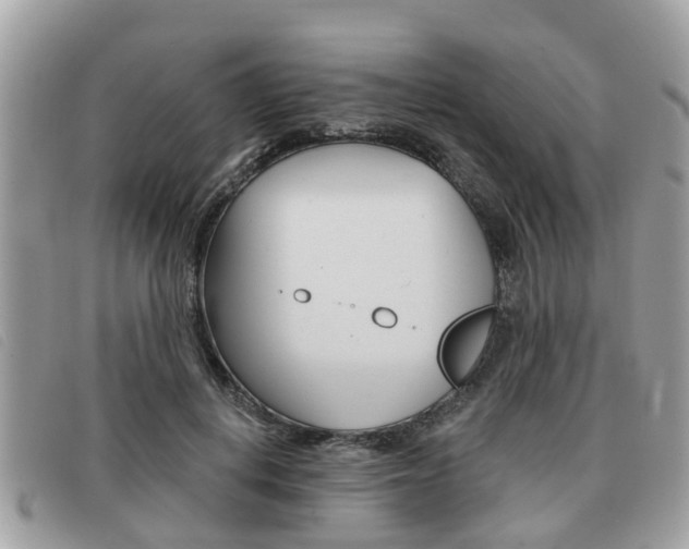 X0000091530648200708170951