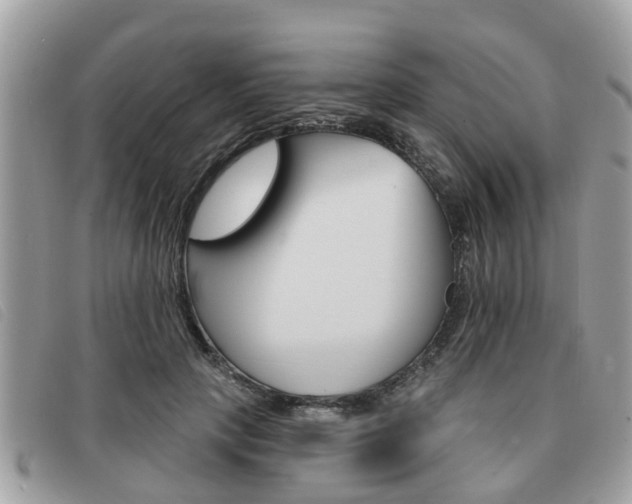 X0000091530649200708170951