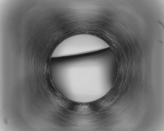 X0000091530651200708170951