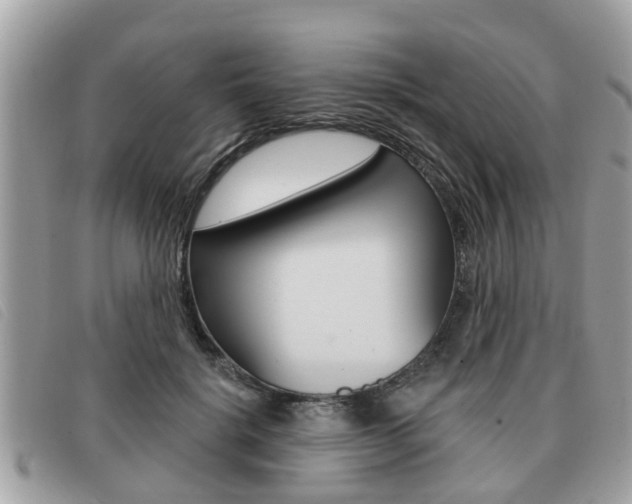 X0000091530652200708170951