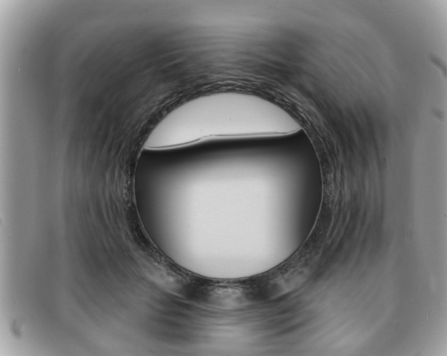 X0000091530653200708170951