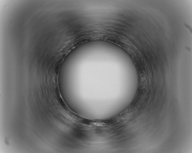 X0000091530654200708170951