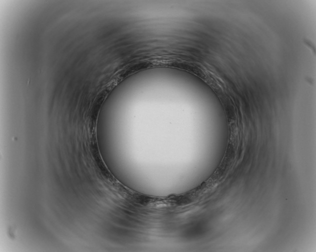 X0000091530655200708170951