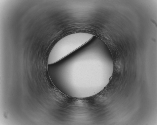 X0000091530657200708170951