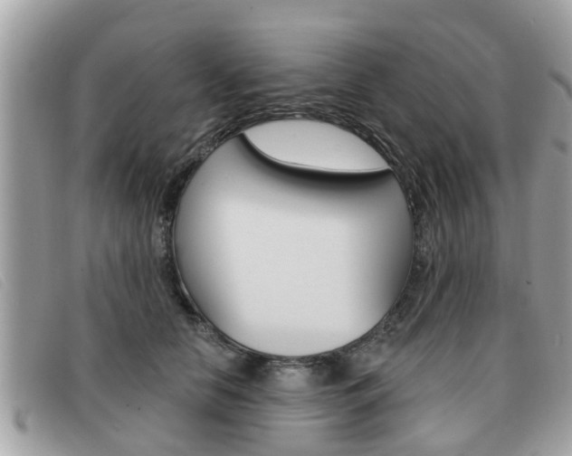 X0000091530658200708170951