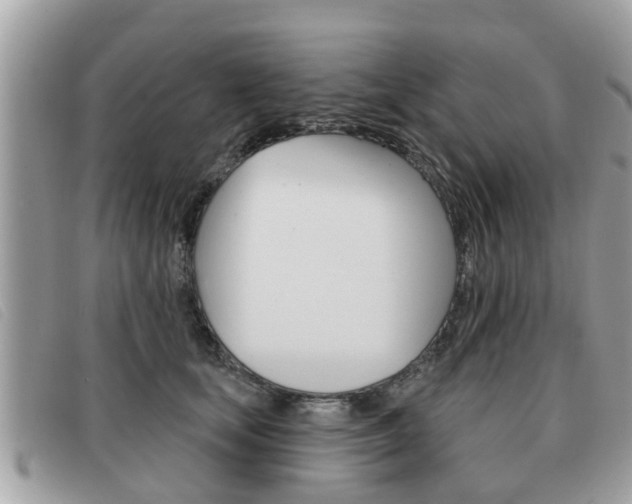 X0000091530659200708170951