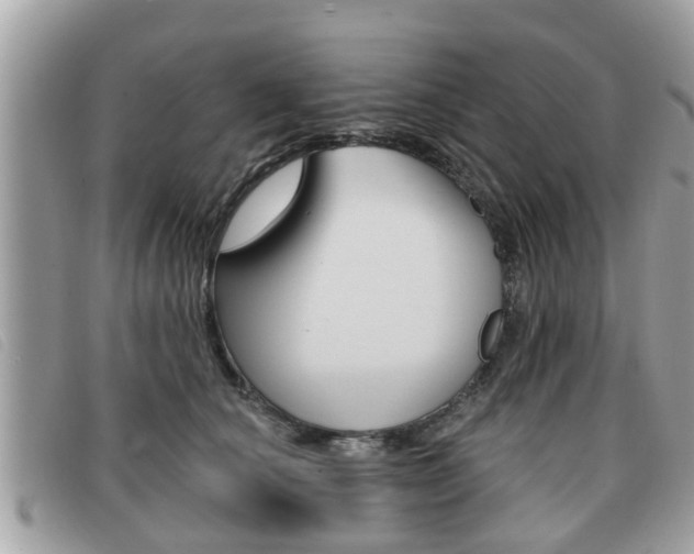 X0000091530660200708170951