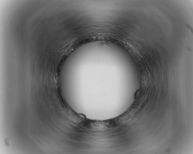 X0000091530661200708170951