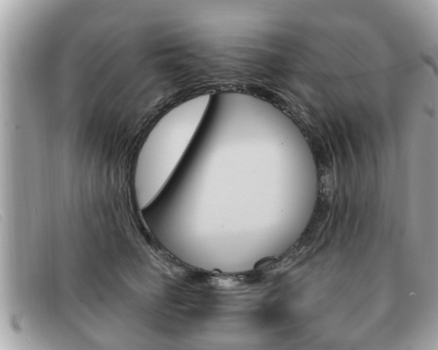 X0000091530662200708170951