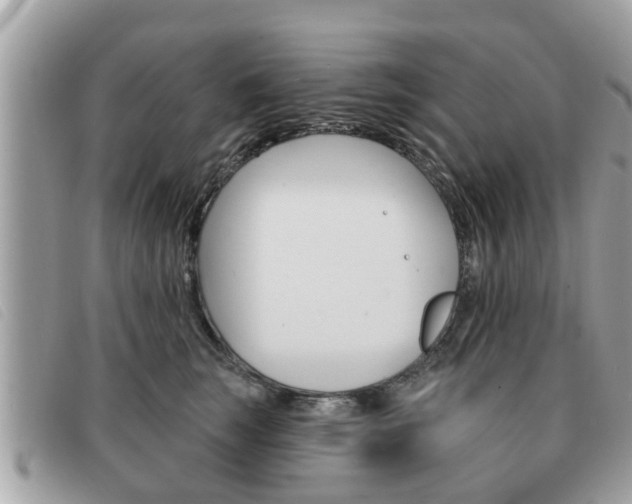 X0000091530663200708170951