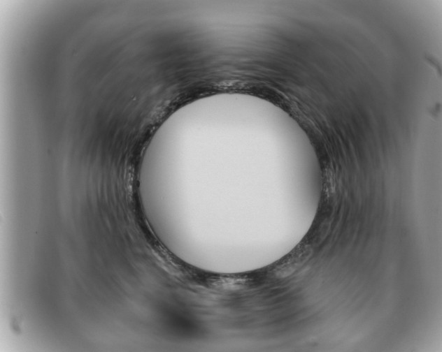 X0000091530664200708170951