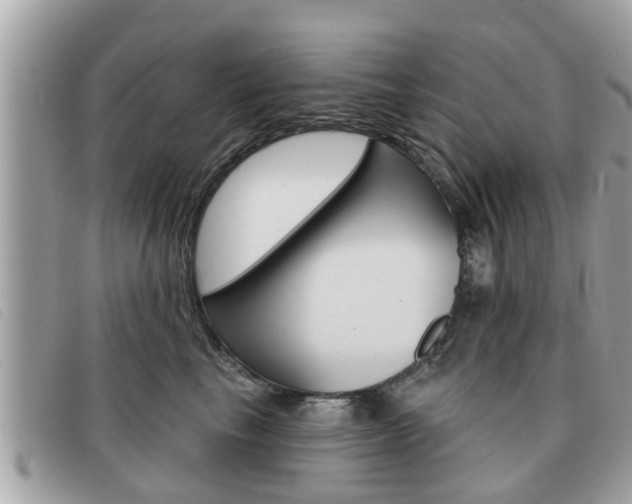 X0000091530665200708170951