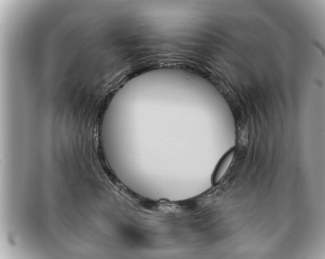 X0000091530666200708170951