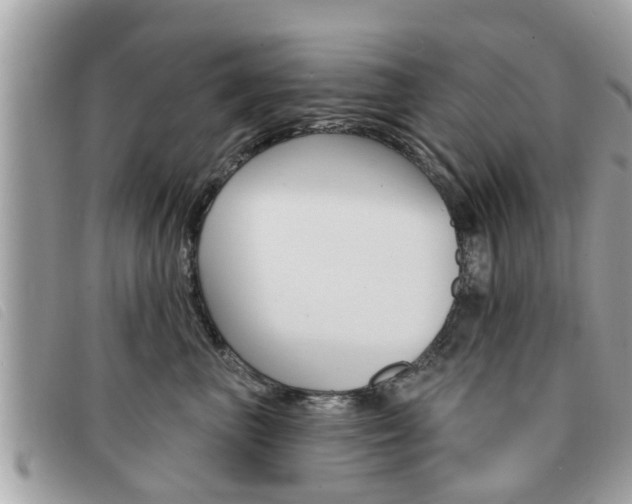 X0000091530667200708170951