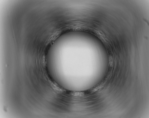 X0000091530670200708170951