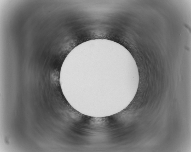 X0000091530672200708170951