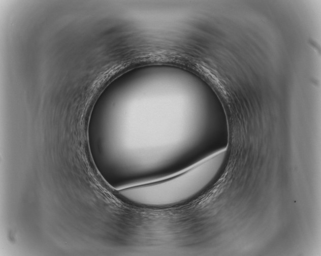 X0000091530673200708170950