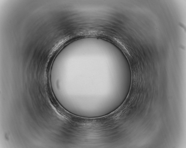 X0000091530674200708170950