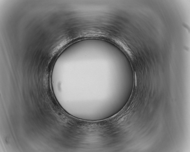 X0000091530675200708170950
