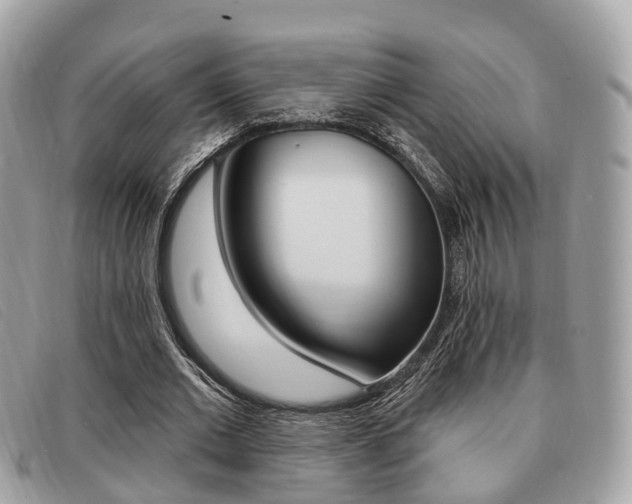 X0000091530677200708170950