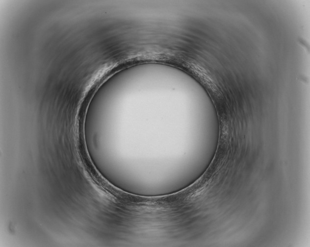 X0000091530678200708170950