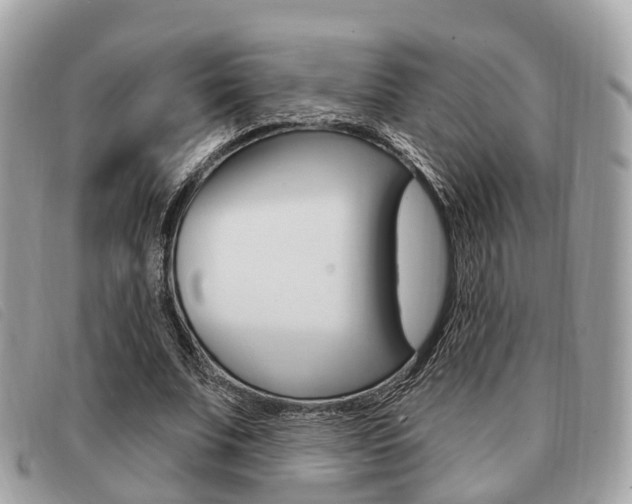 X0000091530679200708170950