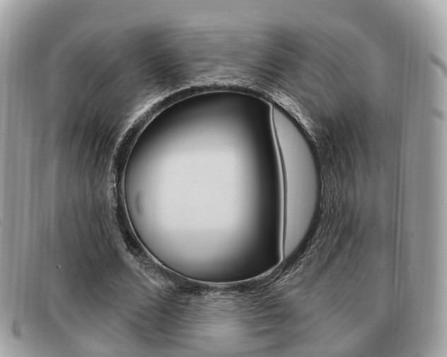 X0000091530680200708170950