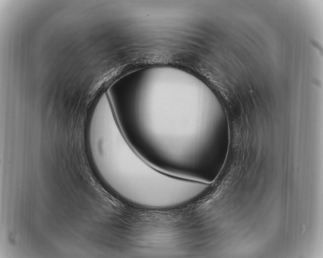 X0000091530681200708170950