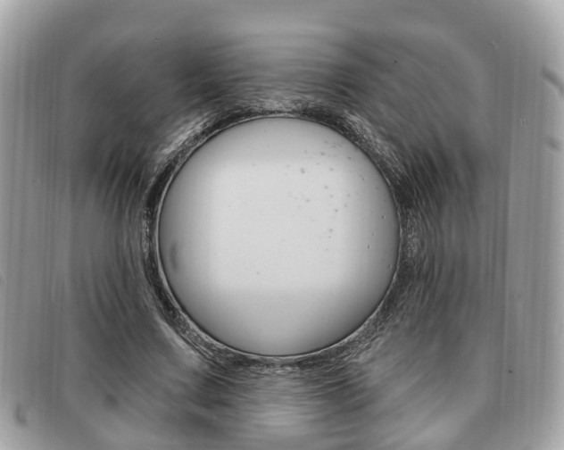 X0000091530683200708170950