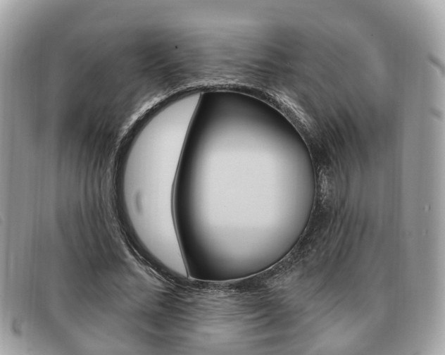 X0000091530684200708170950