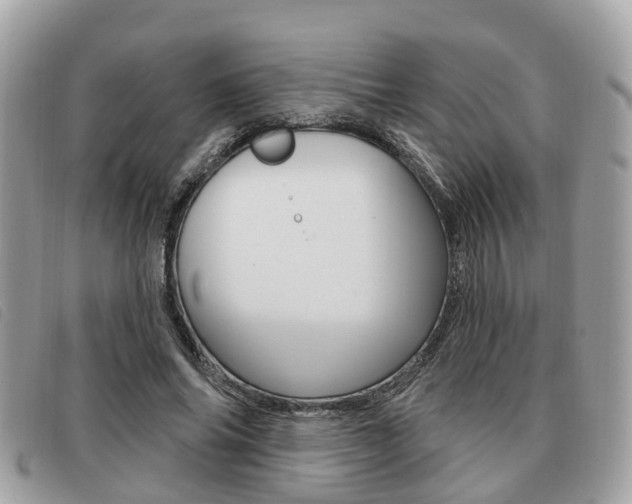 X0000091530686200708170950