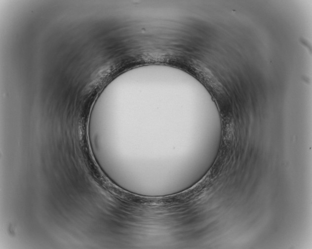 X0000091530687200708170950