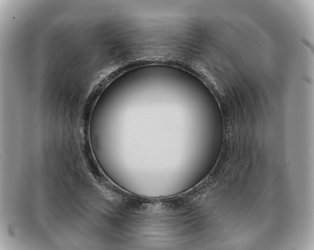 X0000091530688200708170950