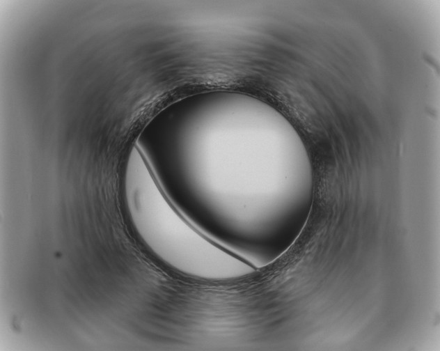 X0000091530689200708170950