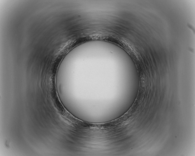 X0000091530690200708170950