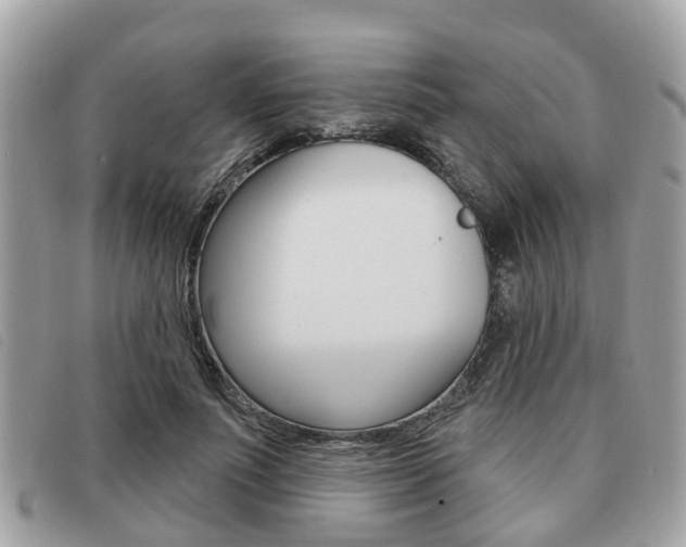 X0000091530691200708170950