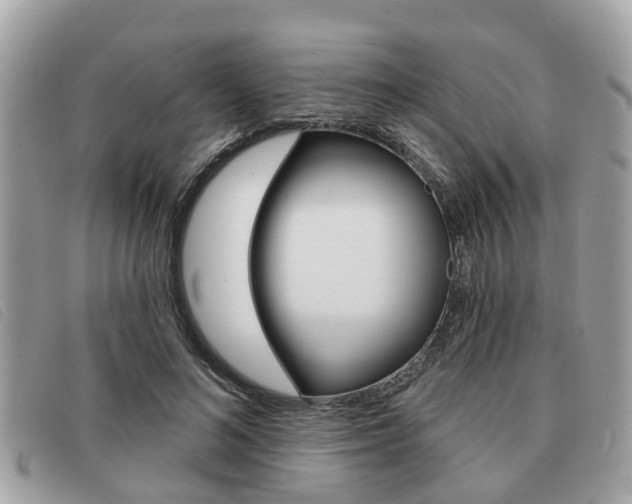 X0000091530692200708170950