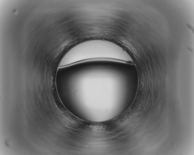 X0000091530693200708170950