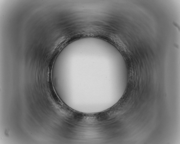 X0000091530694200708170950